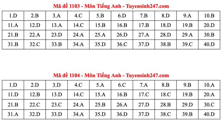 ĐÁP ÁN ANH 2025 tất cả mã đề | Đáp án môn tiếng Anh THPT Quốc Gia - Ảnh 2.