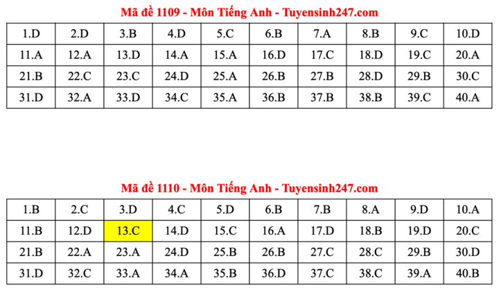 ĐÁP ÁN ANH 2025 tất cả mã đề | Đáp án môn tiếng Anh THPT Quốc Gia - Ảnh 5.