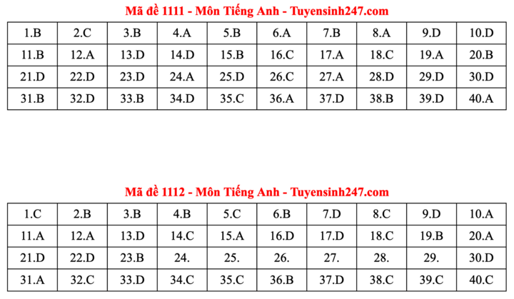 ĐÁP ÁN ANH 2025 tất cả mã đề | Đáp án môn tiếng Anh THPT Quốc Gia - Ảnh 6.