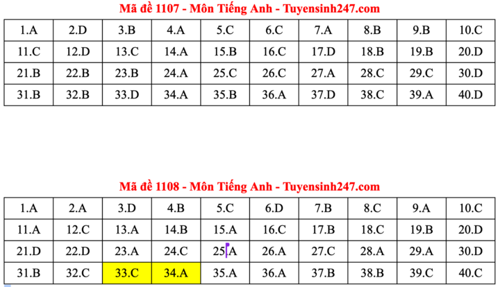 ĐÁP ÁN ANH 2025 tất cả mã đề | Đáp án môn tiếng Anh THPT Quốc Gia - Ảnh 4.