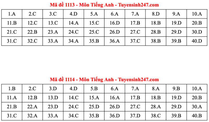 ĐÁP ÁN ANH 2025 tất cả mã đề | Đáp án môn tiếng Anh THPT Quốc Gia - Ảnh 7.