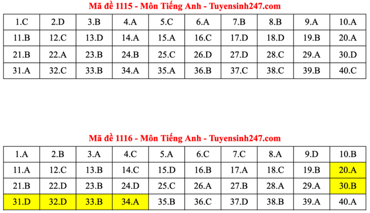ĐÁP ÁN ANH 2025 tất cả mã đề | Đáp án môn tiếng Anh THPT Quốc Gia - Ảnh 8.