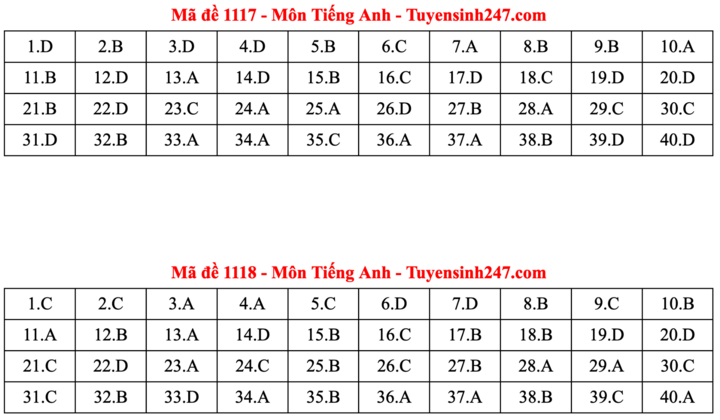 ĐÁP ÁN ANH 2025 tất cả mã đề | Đáp án môn tiếng Anh THPT Quốc Gia - Ảnh 9.
