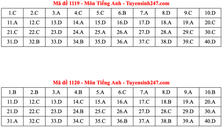 ĐÁP ÁN ANH 2025 tất cả mã đề | Đáp án môn tiếng Anh THPT Quốc Gia - Ảnh 10.