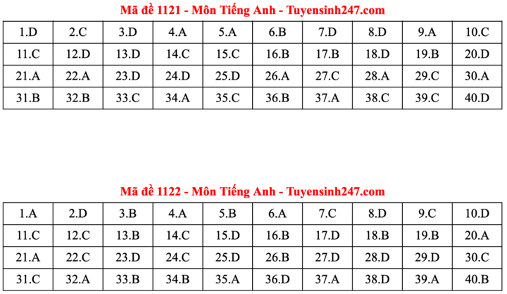 ĐÁP ÁN ANH 2025 tất cả mã đề | Đáp án môn tiếng Anh THPT Quốc Gia - Ảnh 11.