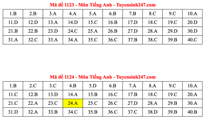 ĐÁP ÁN ANH 2025 tất cả mã đề | Đáp án môn tiếng Anh THPT Quốc Gia - Ảnh 12.