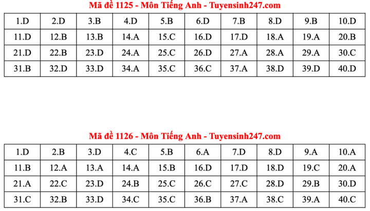 ĐÁP ÁN ANH 2025 tất cả mã đề | Đáp án môn tiếng Anh THPT Quốc Gia - Ảnh 13.