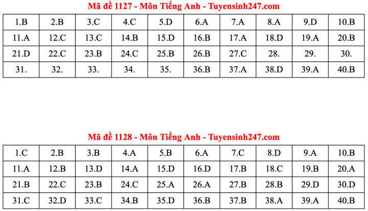 ĐÁP ÁN ANH 2025 tất cả mã đề | Đáp án môn tiếng Anh THPT Quốc Gia - Ảnh 14.