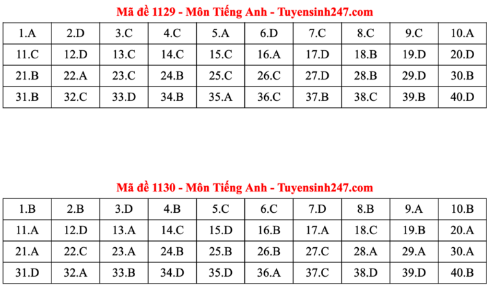 ĐÁP ÁN ANH 2025 tất cả mã đề | Đáp án môn tiếng Anh THPT Quốc Gia - Ảnh 15.