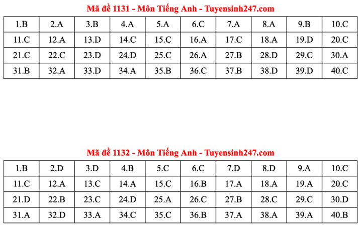 ĐÁP ÁN ANH 2025 tất cả mã đề | Đáp án môn tiếng Anh THPT Quốc Gia - Ảnh 16.