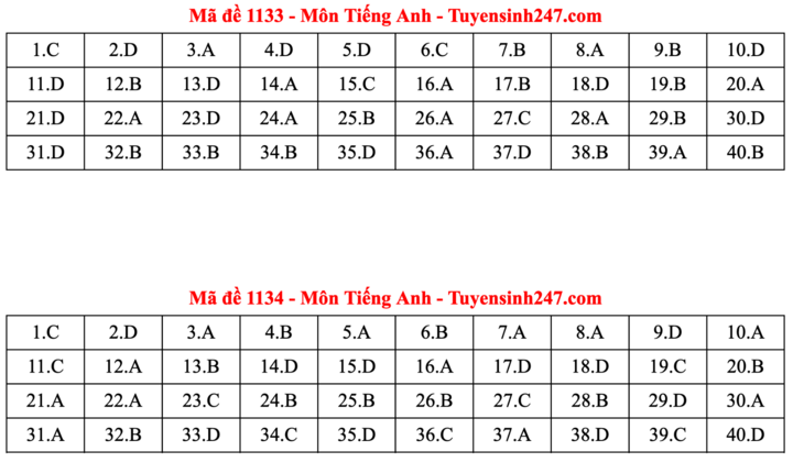 ĐÁP ÁN ANH 2025 tất cả mã đề | Đáp án môn tiếng Anh THPT Quốc Gia - Ảnh 17.