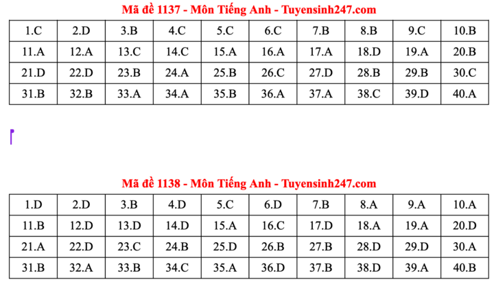 ĐÁP ÁN ANH 2025 tất cả mã đề | Đáp án môn tiếng Anh THPT Quốc Gia - Ảnh 19.