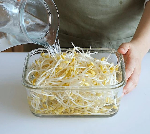3 cách bảo quản giá đỗ sai lầm khiến dinh dưỡng giảm và dễ hỏng - Ảnh 2.