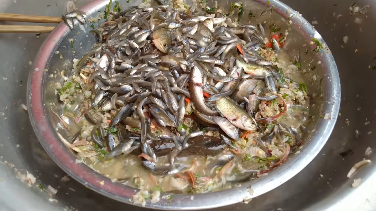 Khách Tây ăn thử "đặc sản nhảy tanh tách" của người Tây Bắc, nhận xét: Vị nó không hề giống vẻ bề ngoài! - Ảnh 1.