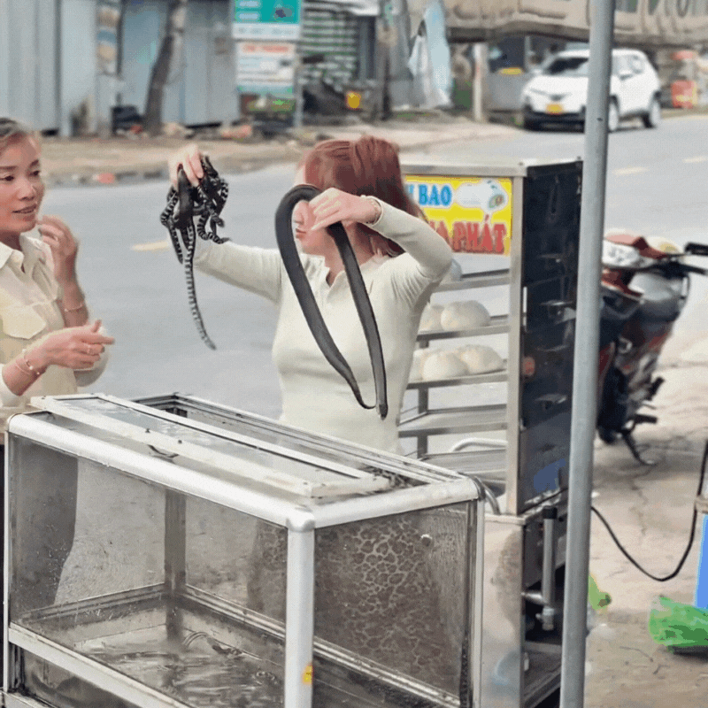 Món đặc sản "rùng mình" ở miền Tây ngày hè: Người sợ xanh mặt, người lại gật gù khen ngon - Ảnh 3. Món đặc sản "rùng mình" ở miền Tây ngày hè: Người sợ xanh mặt, người lại gật gù khen ngon - Ảnh 3.