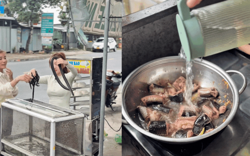 Món đặc sản "rùng mình" ở miền Tây ngày hè: Người sợ xanh mặt, người lại gật gù khen ngon - Ảnh 1. Món đặc sản "rùng mình" ở miền Tây ngày hè: Người sợ xanh mặt, người lại gật gù khen ngon - Ảnh 1.