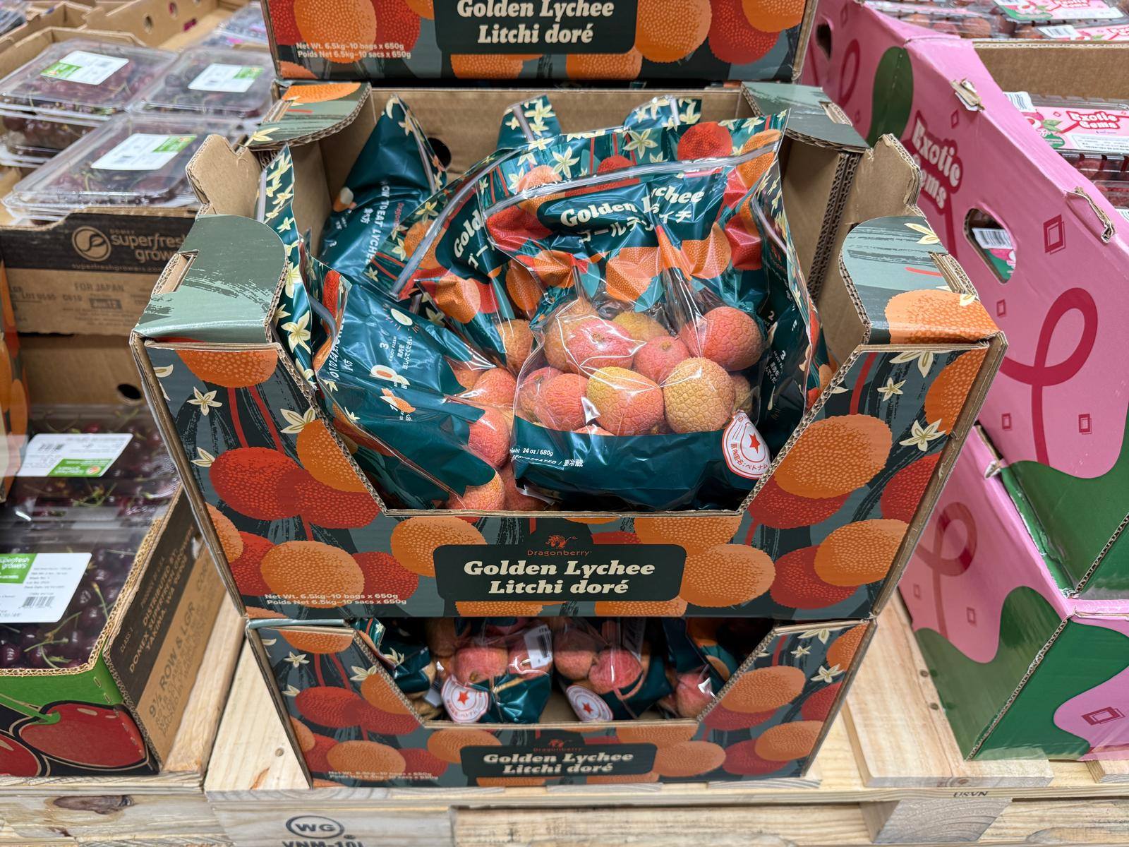 - Ảnh 6. - Ảnh 6.