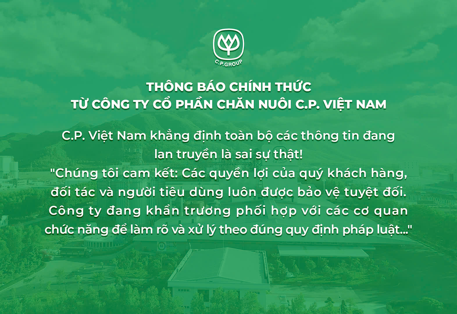 - Ảnh 4.