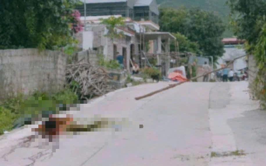 Bắt tạm giam gi&aacute;m đốc tập đo&agrave;n "rởm" - Ảnh 2.