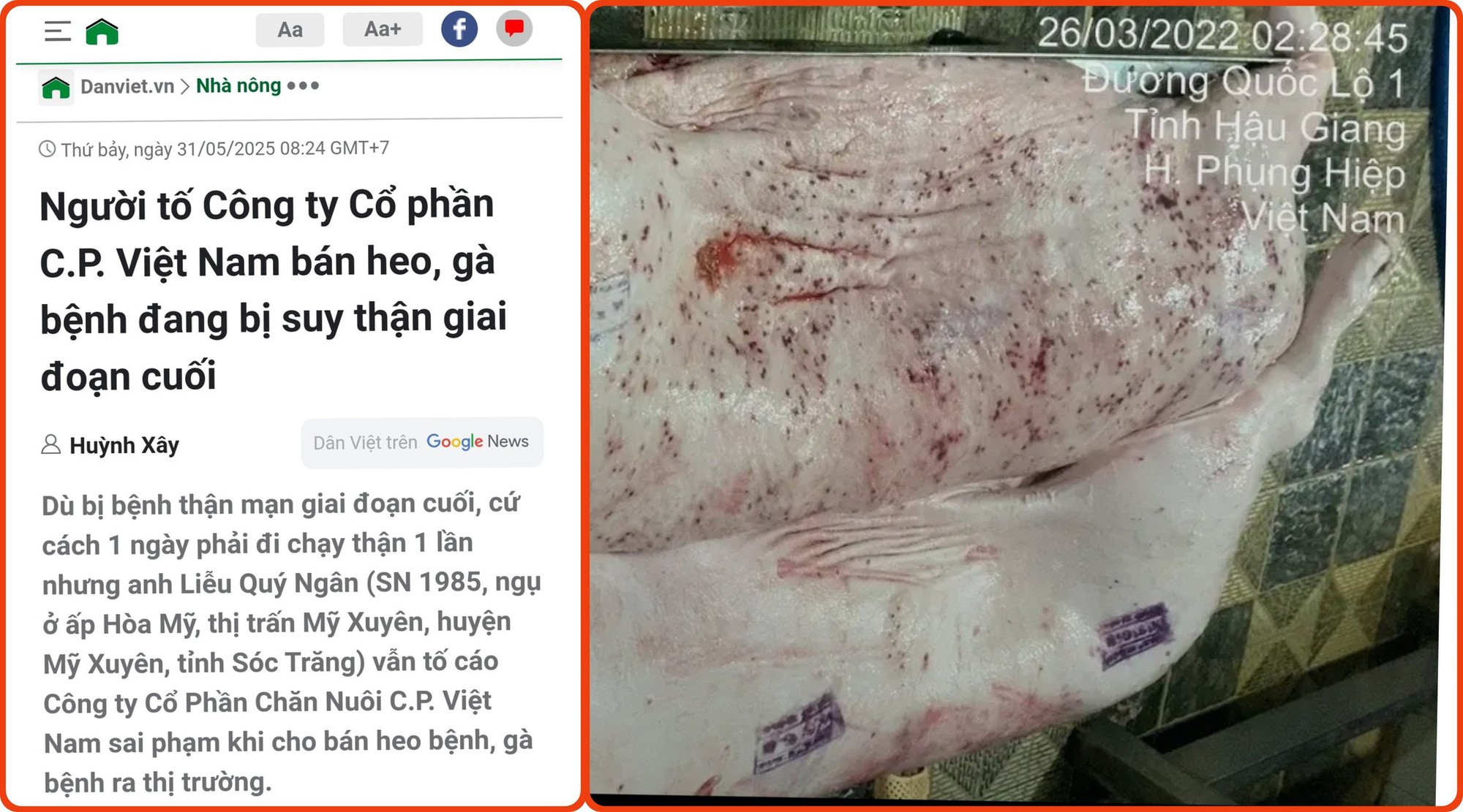 - Ảnh 1.