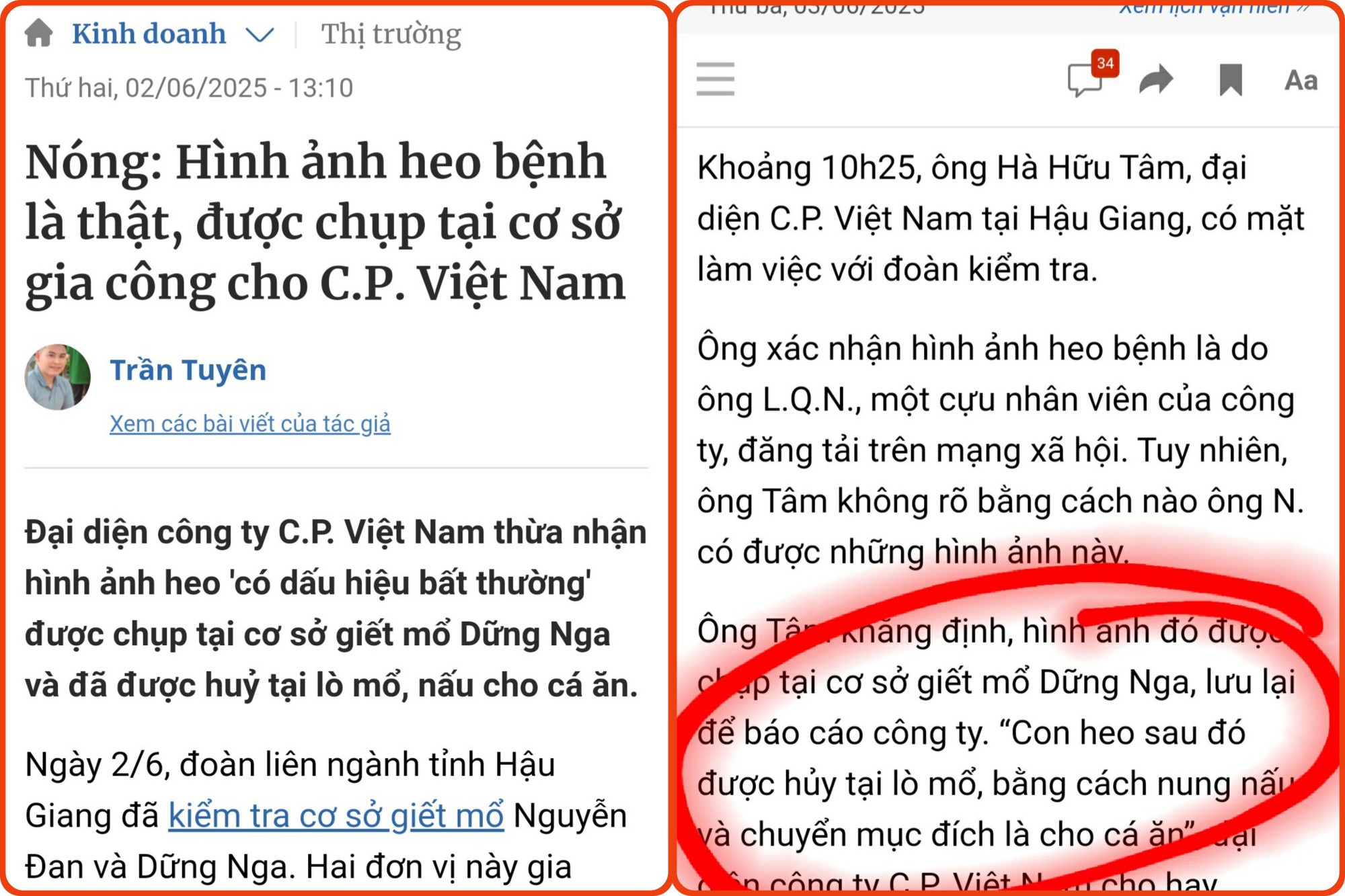 - Ảnh 2.
