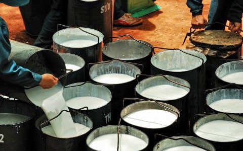 H&agrave;ng ngh&igrave;n tấn 'v&agrave;ng trắng' của Việt Nam đổ bộ Mỹ với gi&aacute; đắt đỏ: thuế nhập khẩu 7%, Việt Nam l&agrave; &ocirc;ng tr&ugrave;m top 3 thế giới - Ảnh 1.