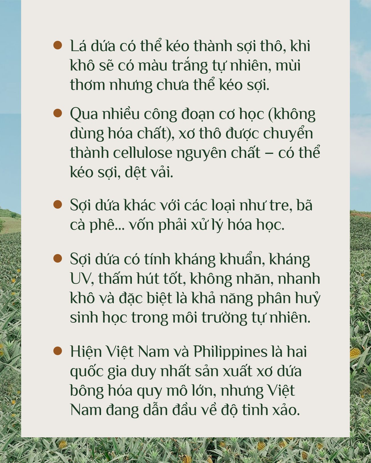 - Ảnh 9.