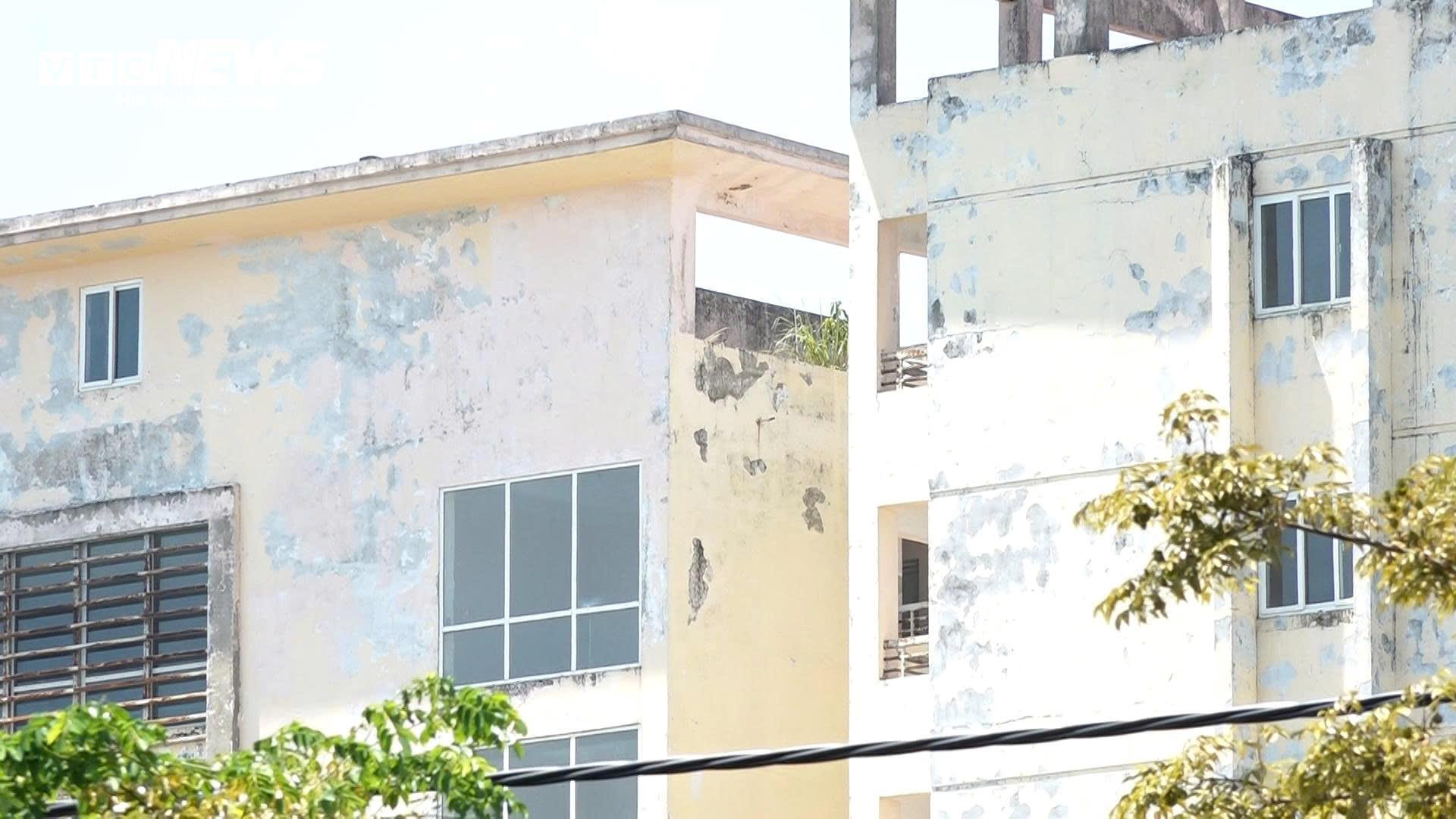 Cận cảnh 2 dự án đào tạo cán bộ, nhân lực ngân hàng trăm tỷ bỏ hoang ở Huế- Ảnh 11.