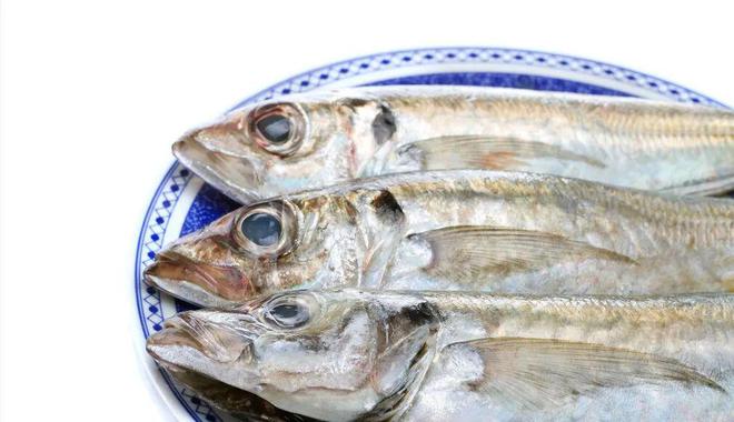 Đừng ngần ngại mua 5 loại c&aacute; n&agrave;y, đều l&agrave; c&aacute; hoang d&atilde; v&agrave; kh&ocirc;ng thể nu&ocirc;i được- Ảnh 3.