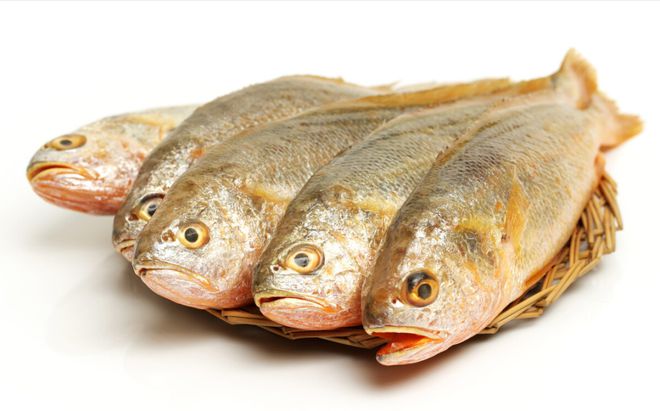 Đừng ngần ngại mua 5 loại c&aacute; n&agrave;y, đều l&agrave; c&aacute; hoang d&atilde; v&agrave; kh&ocirc;ng thể nu&ocirc;i được- Ảnh 2.