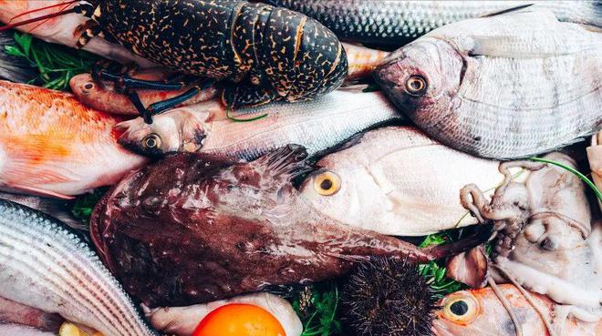 Đừng ngần ngại mua 5 loại c&aacute; n&agrave;y, đều l&agrave; c&aacute; hoang d&atilde; v&agrave; kh&ocirc;ng thể nu&ocirc;i được- Ảnh 1.