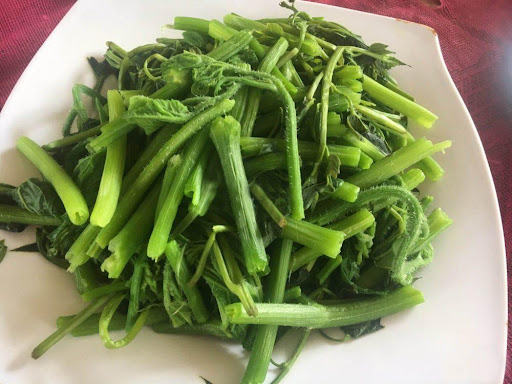 Loại rau giàu sắt hơn thịt bò, được ví như thuốc bổ gan tự nhiên, trồng ban công cực dễ- Ảnh 5. Loại rau giàu sắt hơn thịt bò, được ví như thuốc bổ gan tự nhiên, trồng ban công cực dễ- Ảnh 5.