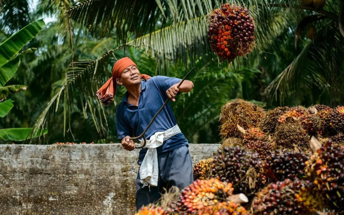 Việt Nam sẽ xây nhà ga sân bay phượng hoàng, là biểu tượng vươn ra thế giới - Ảnh 5.
