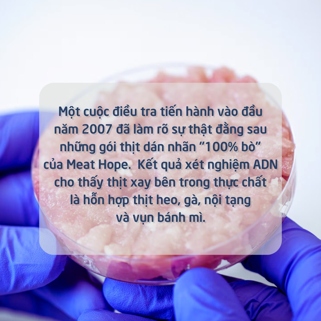 - Ảnh 3.