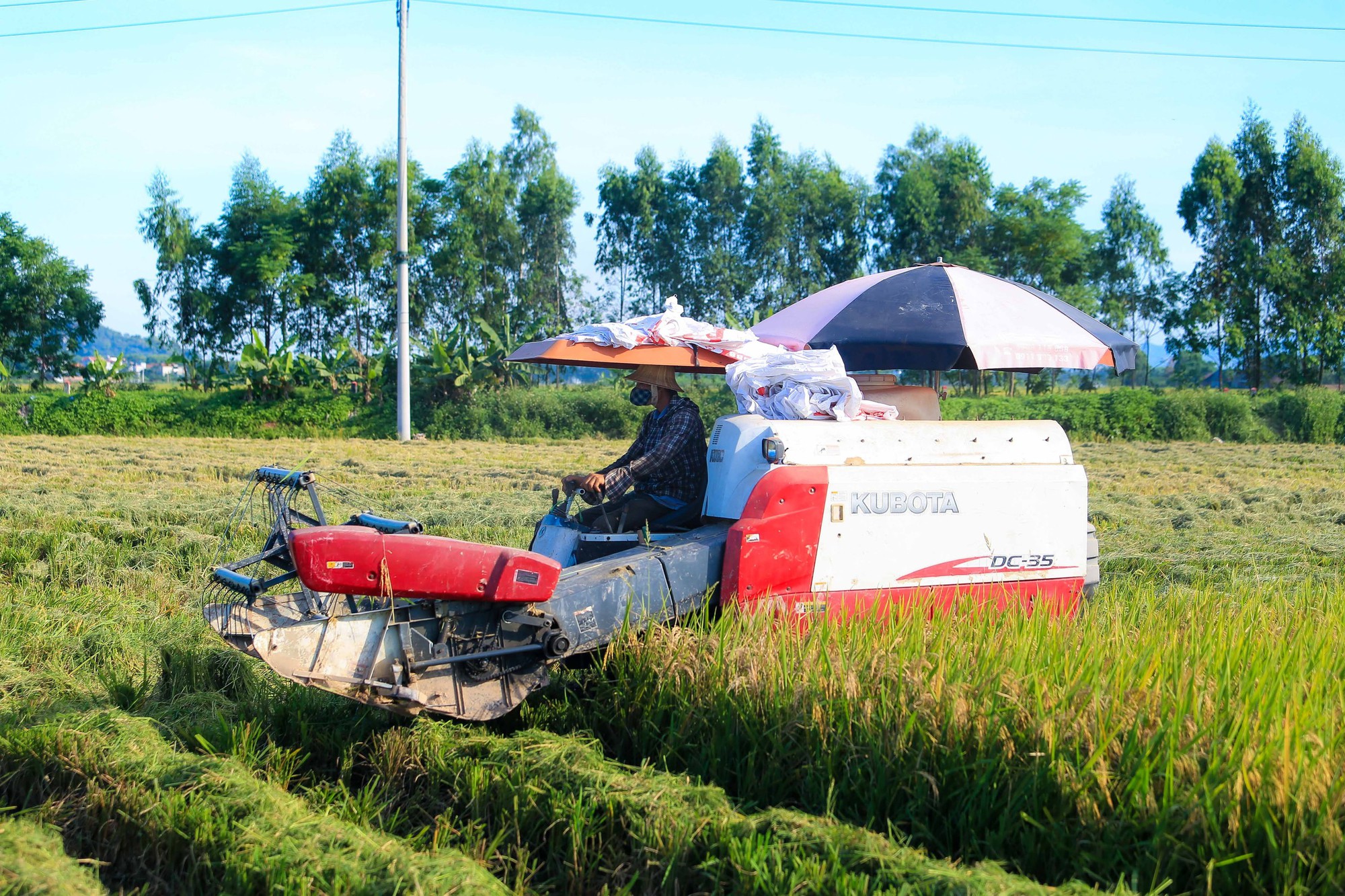 Khi c&ocirc;ng nghệ tham gia v&agrave;o "c&agrave;y s&acirc;u cuốc bẫm" - B&agrave;i 3: N&ocirc;ng nghiệp hiện đại cần một hệ sinh th&aacute;i bền vững - Ảnh 6.