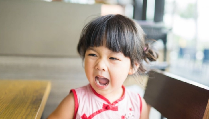 Trẻ có EQ thấp và 3 câu nói cần chú ý để giúp con phát triển cảm xúc tốt hơn - Ảnh 2.
