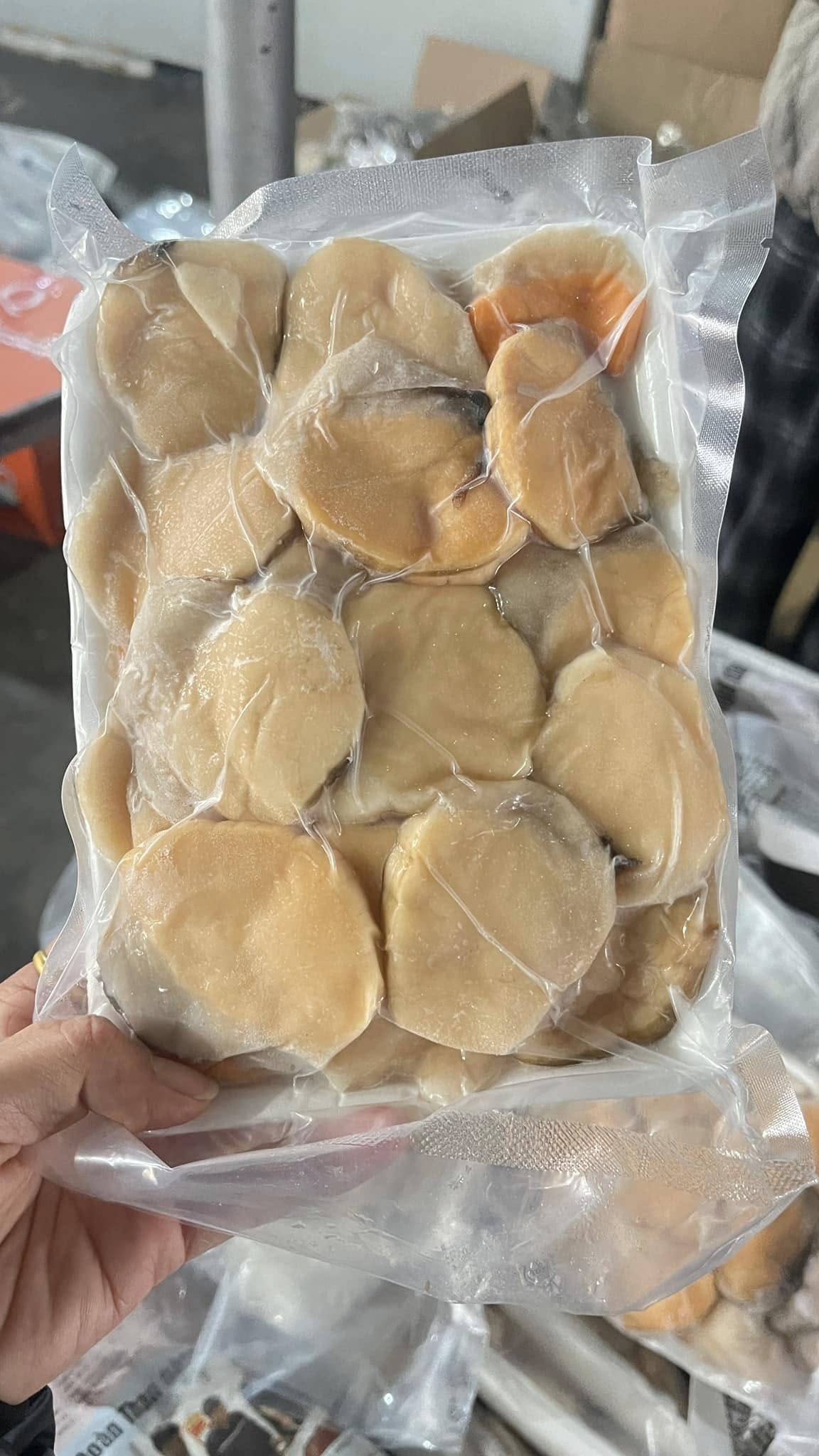 Đanh hà quăn - món ngon đặc sản không thể bỏ lỡ khi đến đảo Thanh Lân - Ảnh 5.