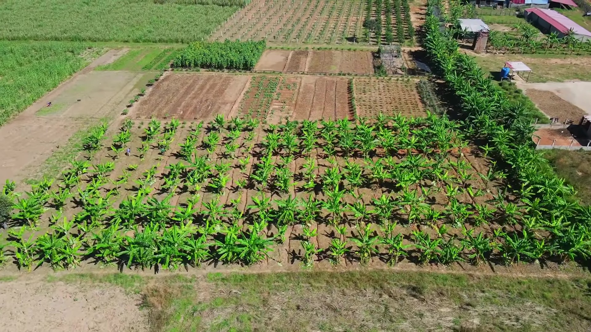 Toàn cảnh trang trại được Quang Linh rót vốn tiền tỷ: Hiện trạng ra sao sau 2 tháng ông chủ gặp biến cố- Ảnh 2. Toàn cảnh trang trại được Quang Linh rót vốn tiền tỷ: Hiện trạng ra sao sau 2 tháng ông chủ gặp biến cố- Ảnh 2.