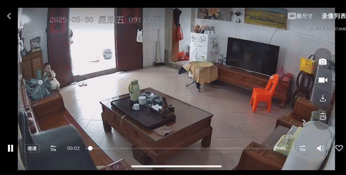 Thấy búp măng non lặc lè bước ra phòng khách, người phụ nữ tá hỏa, vội vàng chạy đến để giải cứu "búp bê" - Ảnh 2.