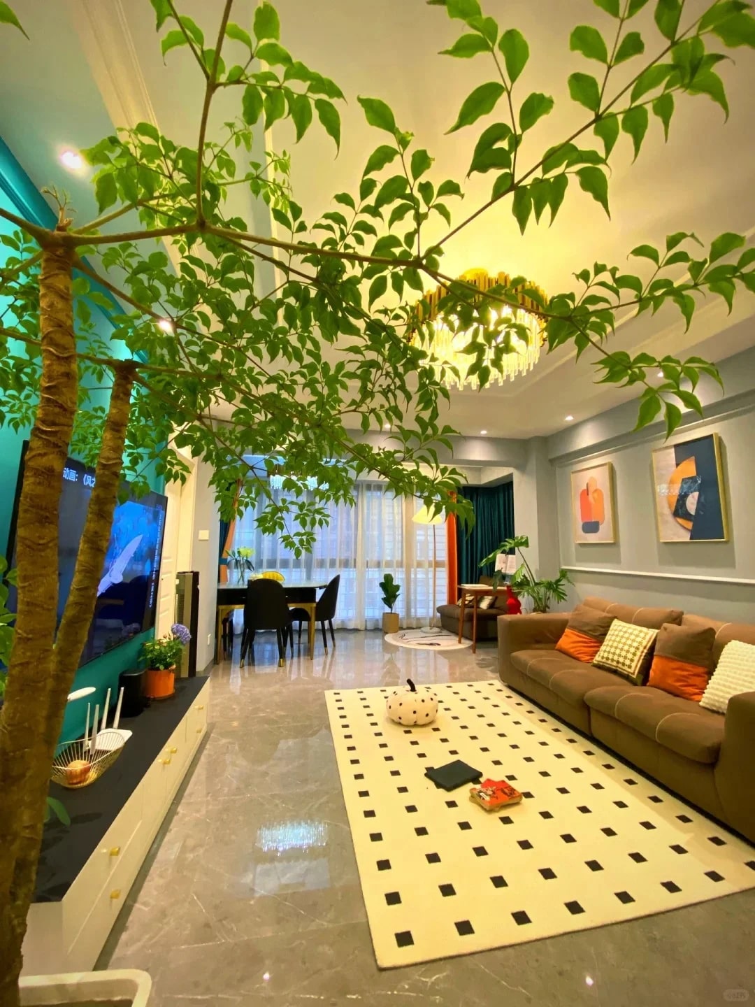 3 cây phong thủy giúp tài lộc dồi dào và không khí trong lành - Ảnh 1.