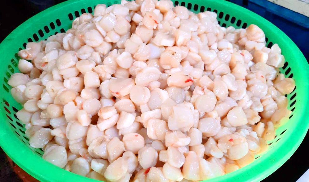 Đanh hà quăn - món ngon đặc sản không thể bỏ lỡ khi đến đảo Thanh Lân - Ảnh 4.