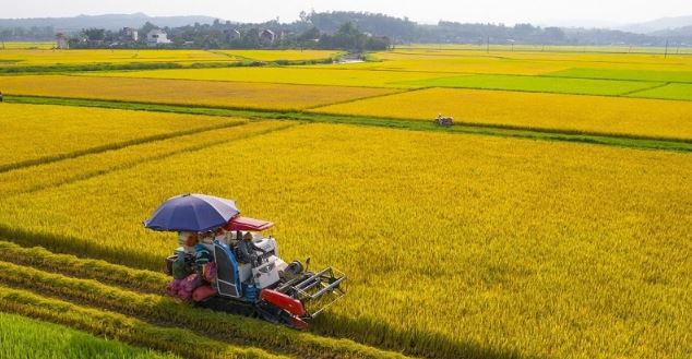 Việt Nam lập kỳ tích: Mở ra kỷ nguyên mới cho mặt hàng tỷ đô - Ảnh 3.