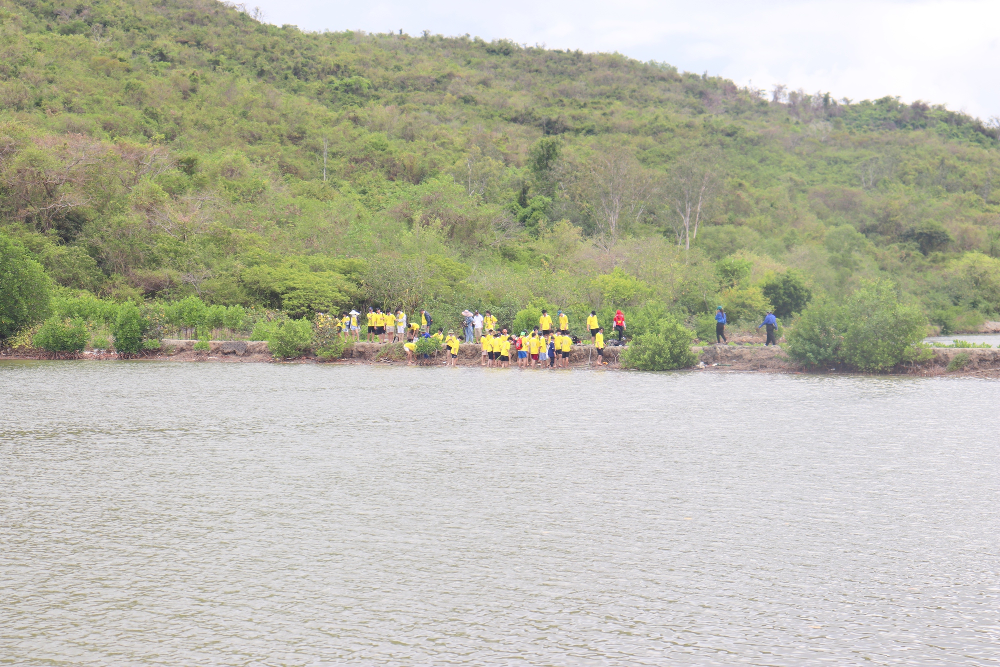 Phục hồi rừng ngập mặn đầm Nha Phu: Kỳ vọng một vành đai xanh tương lai - Ảnh 10. Phục hồi rừng ngập mặn đầm Nha Phu: Kỳ vọng một vành đai xanh tương lai - Ảnh 10.