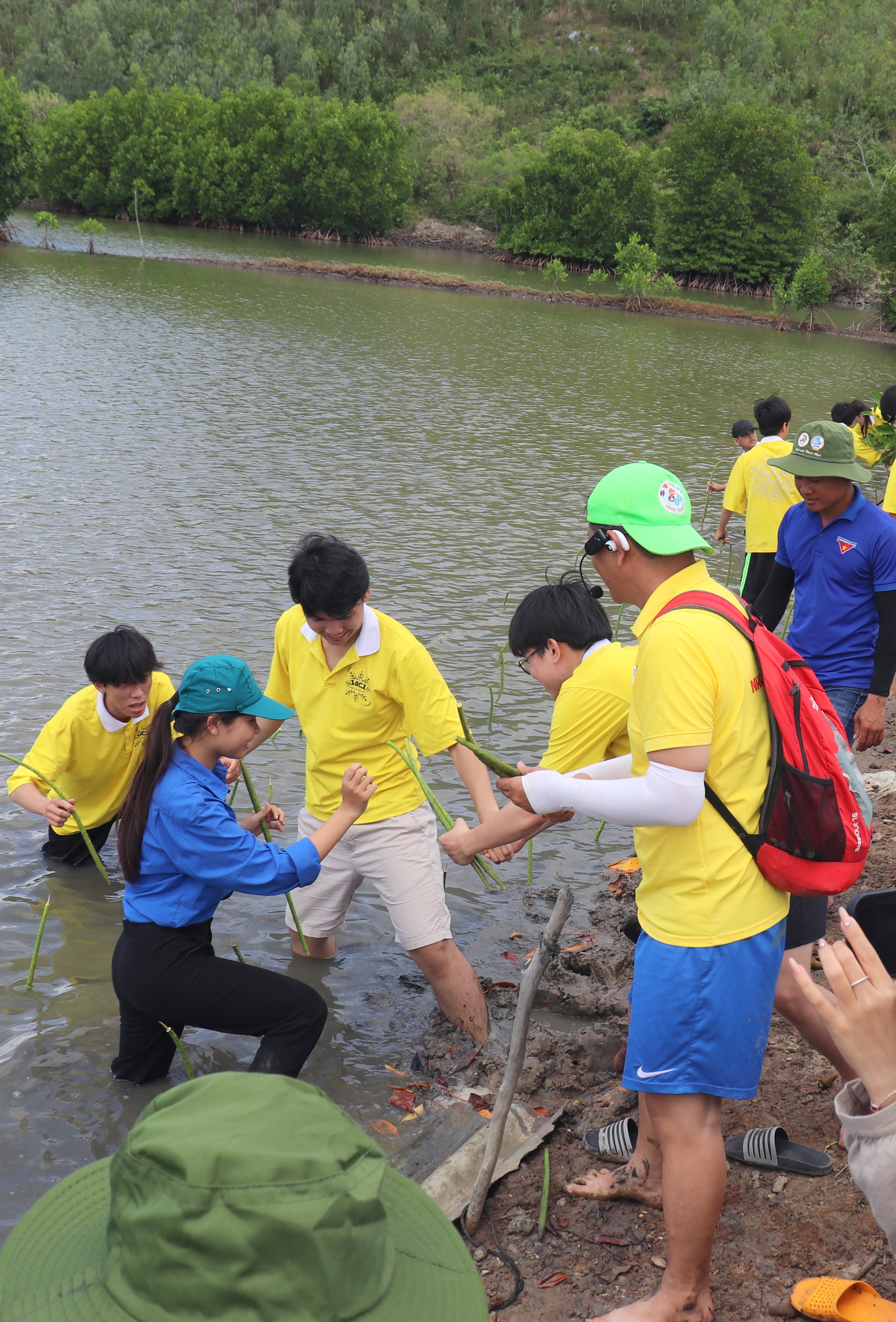 Phục hồi rừng ngập mặn đầm Nha Phu: Kỳ vọng một vành đai xanh tương lai - Ảnh 8. Phục hồi rừng ngập mặn đầm Nha Phu: Kỳ vọng một vành đai xanh tương lai - Ảnh 8.