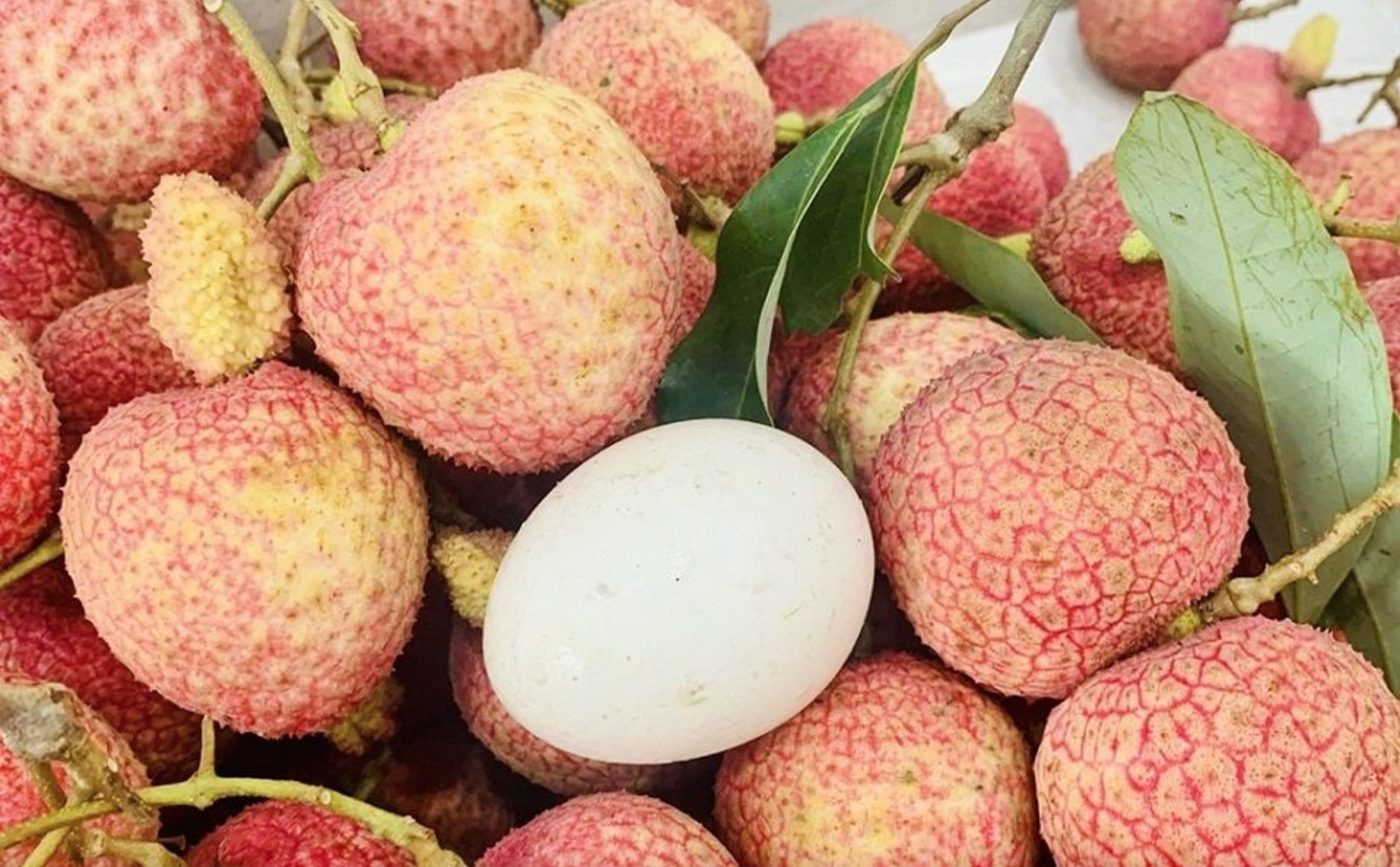 Loại vải to như quả trứng g&agrave;, gi&aacute; 240k/kg vẫn ch&aacute;y h&agrave;ng: Đặc sản địa phương "l&ecirc;n đời" sang ch&acirc;u &Acirc;u! - Ảnh 1.