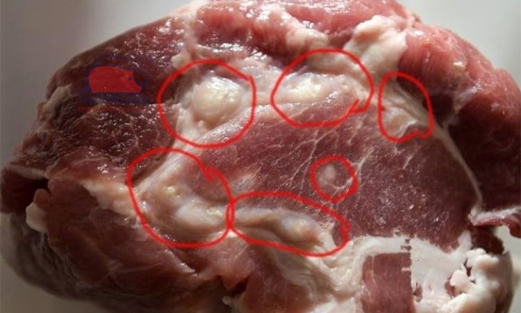 Đi chợ mà không biết 6 mẹo này thì đừng trách sao thịt mua về nấu lên lại dai và hôi- Ảnh 4. Đi chợ mà không biết 6 mẹo này thì đừng trách sao thịt mua về nấu lên lại dai và hôi- Ảnh 4.