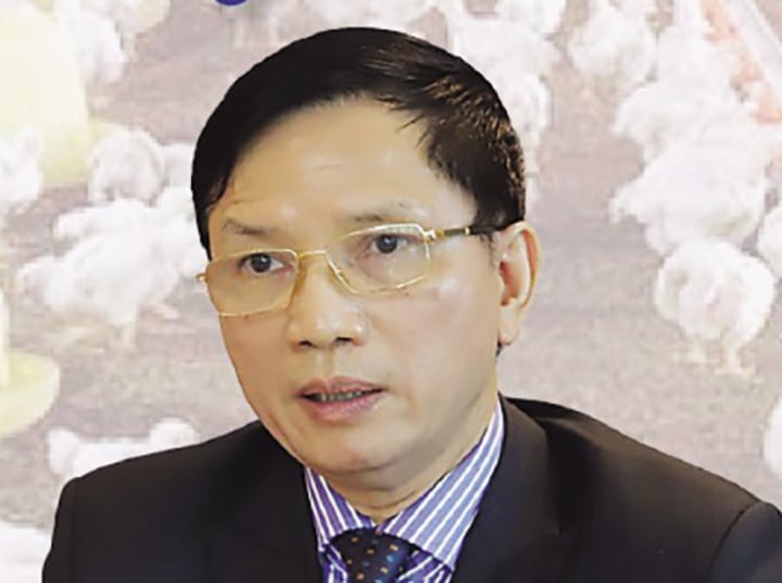 Trứng gà giả gây hoang mang: Sinh kế người chăn nuôi gia cầm bị ảnh hưởng nghiêm trọng - Ảnh 1.