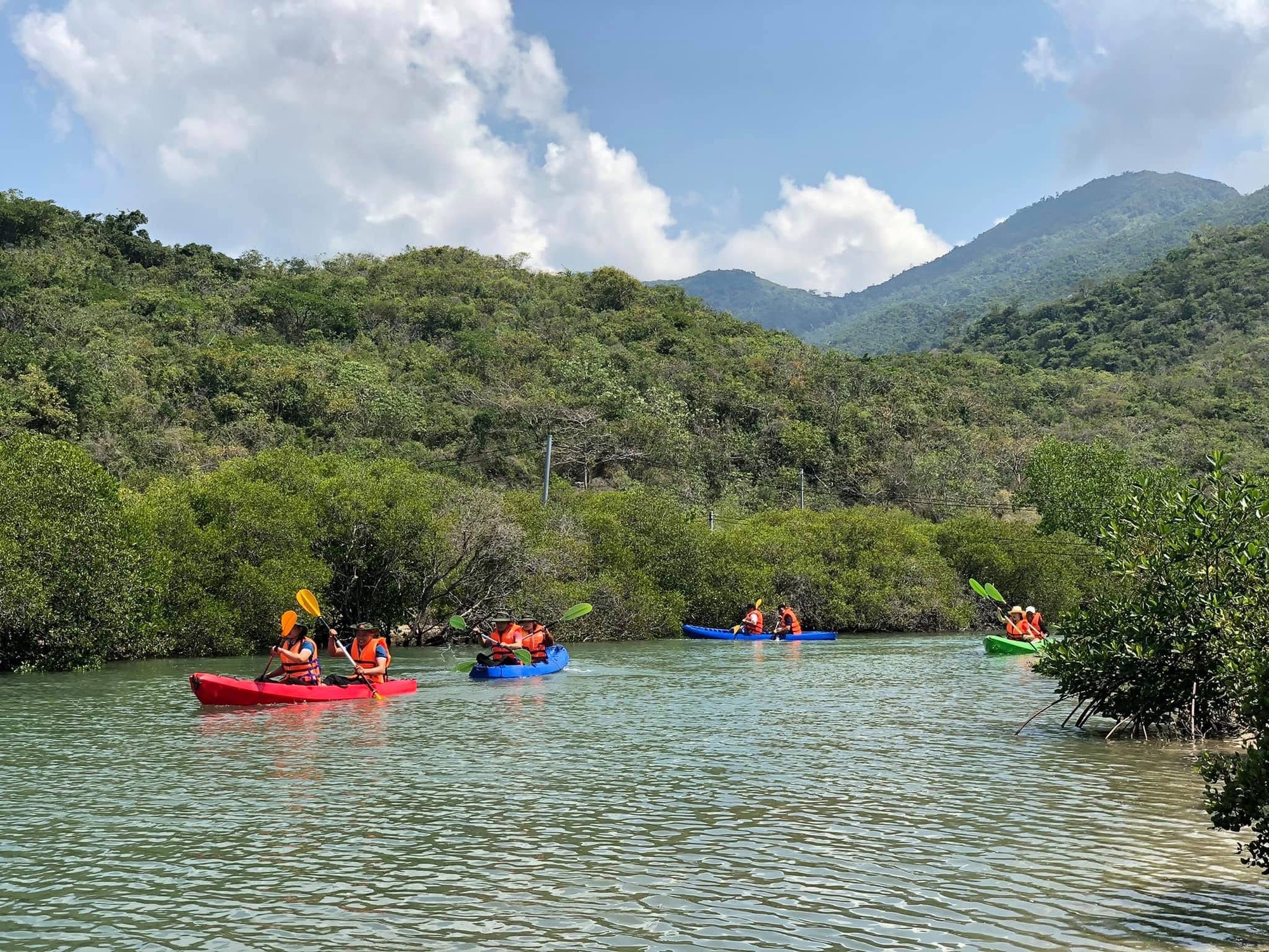 Phục hồi rừng ngập mặn đầm Nha Phu: Kỳ vọng một vành đai xanh tương lai - Ảnh 6. Phục hồi rừng ngập mặn đầm Nha Phu: Kỳ vọng một vành đai xanh tương lai - Ảnh 6.