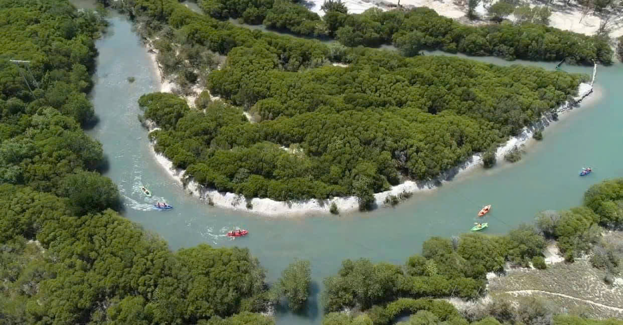 Phục hồi rừng ngập mặn đầm Nha Phu: Kỳ vọng một vành đai xanh tương lai - Ảnh 11. Phục hồi rừng ngập mặn đầm Nha Phu: Kỳ vọng một vành đai xanh tương lai - Ảnh 11.