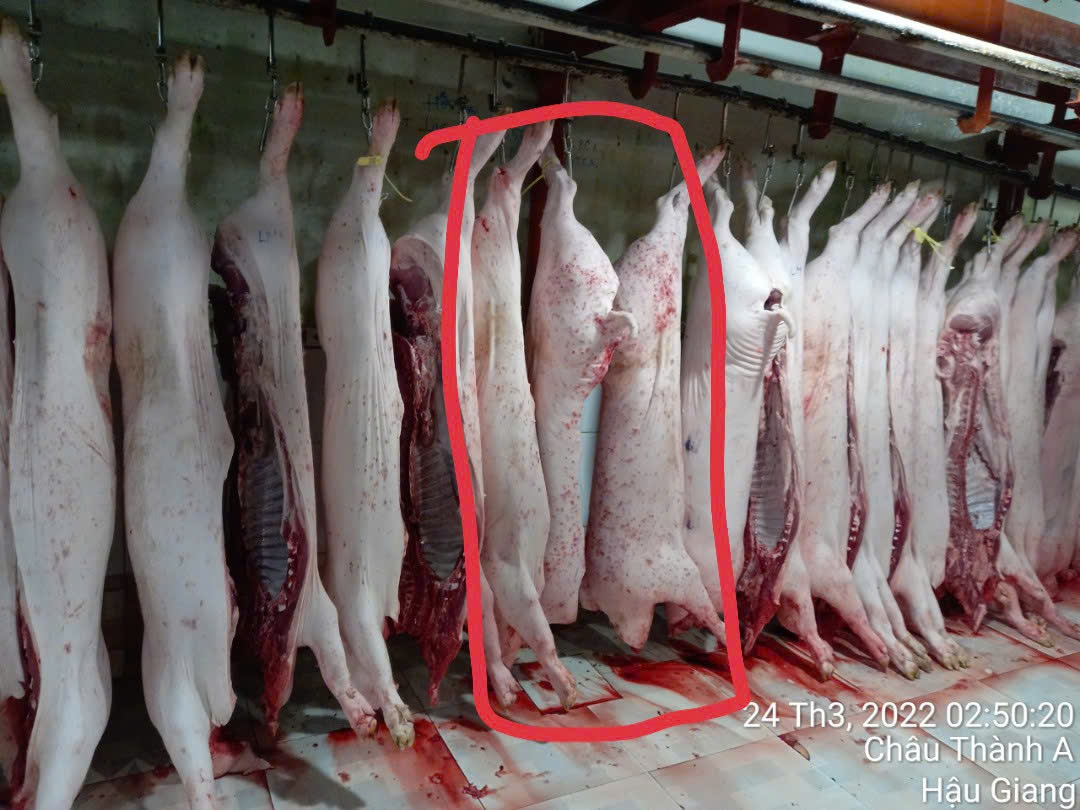 Vụ tố cửa hàng của C.P. Việt Nam: Ông L.Q.N tung thêm bắng chứng? - Ảnh 1.